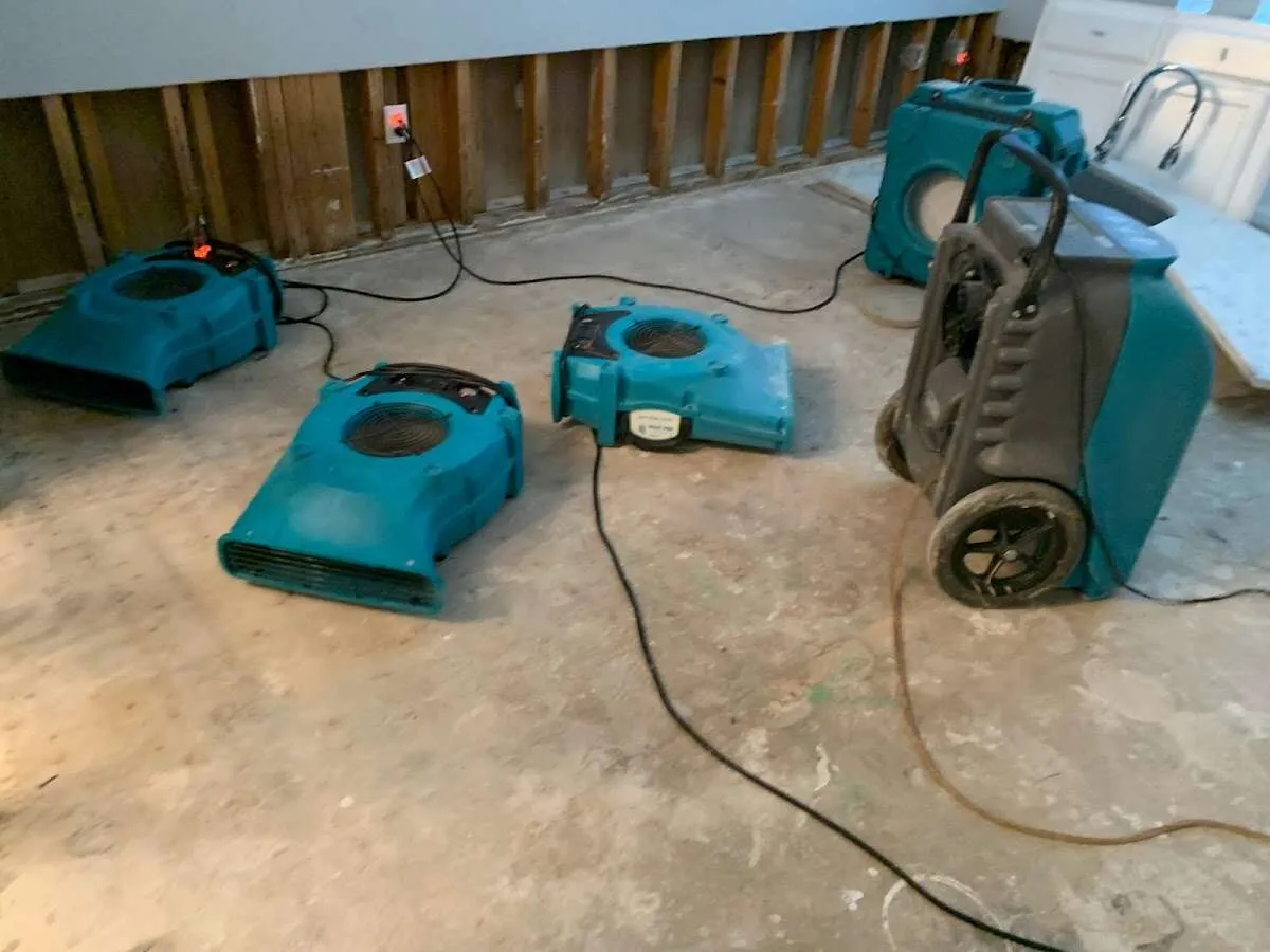 Flood Damage Cleanup in Land O' Lakes, FL